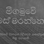 රට නරඹන්නෝ වාසි ගෙනෙන්නෝ