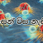 බංග්ලාදේශයෙන් උගතමනා පාඩම්