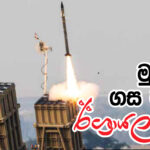 ජීවිතයට ආදරය කරන්න