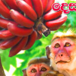 සෑම අර්බුදයක් ම හොඳ අවස්ථා නිර්මාණය කරනවා