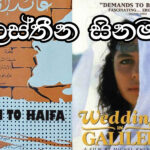 පොස්පේට් පුනරුදය