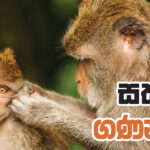 ජර්මන්-ශ්‍රී ලංකා මිත්‍රත්වය