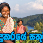 දෙසතිය පුවත් සඟරාව – 2025 සැප්තැම්බර්