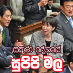 කඳුකරයේ සතුට