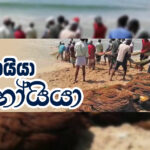 වීදුරු සිවිලිම බිඳීම සහ නිදහසේ සීමා මායිම්