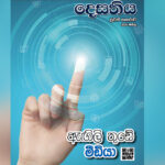 සූර්ය මංගල්‍යයේ සංක්‍රාන්තිය