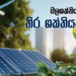 සැබෑ වන මධ්‍යම අධිවේගී  සිහිනය