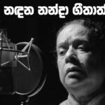 නියඟයට පොද වැස්සක්