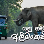 යනු ගමන් අලිමංකඩින්