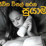 ගෝලීය සිසිලනය