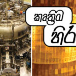 දශක හයක මානව අයිතිය